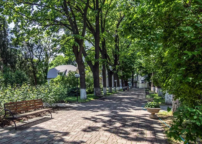 Біла Акація Hotell 3*