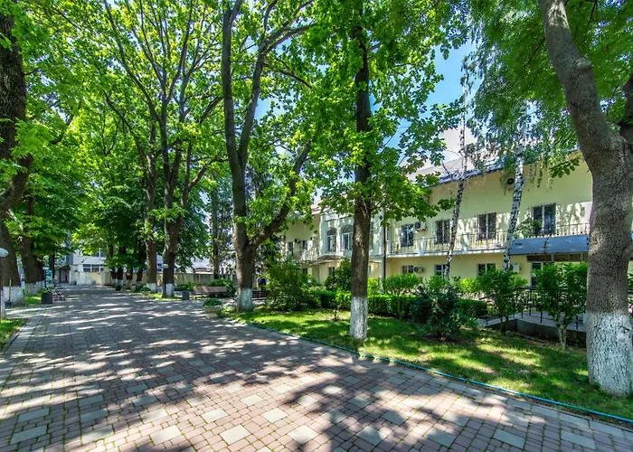 Біла Акація Odessa