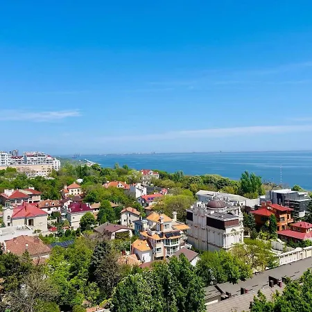Біла Акація Odessa