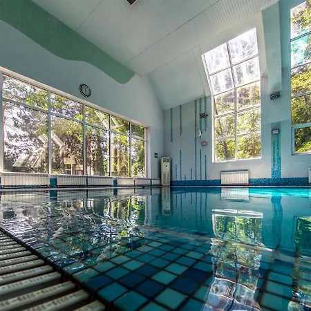 Біла Акація