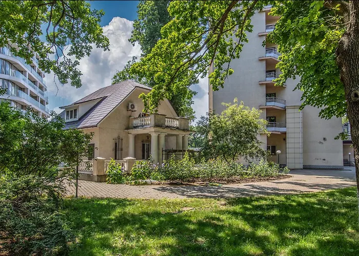 Біла Акація Odesa